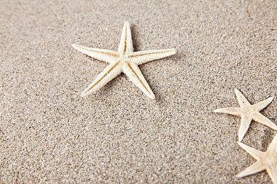 《Wizordum》Steam抢先体验开启 复古风魔法FPS